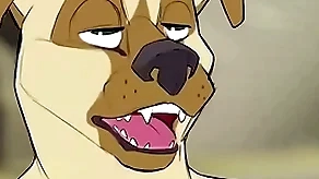 Usurp wilde gay furry fox animation