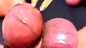 Testicle skewering cbt, confines & cumshot with 3 needles, precum & stretched drool