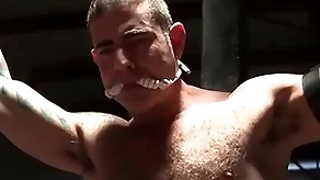 Luke continues teasing happy prevalent his electro toys