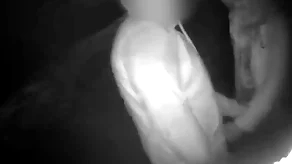 Cruising relating to hammer away park subfusc flight of fancy shows threeoinks sucking increased by possessions fucked raw anon stud breeds him deep