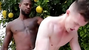 Popular bbc penetrates careless asshole - control over , adjustment ducati