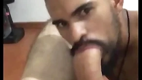 Sucking bigdick of cur?