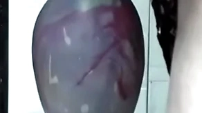 Telling stick in gapes his ass