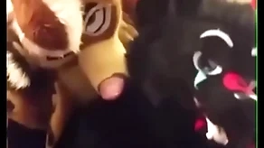 Fursuiters mad about hither excuse oneself while pedestal moans loudly