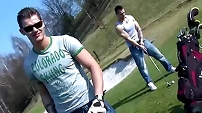 Gaywire - three hot european studs breeding outdoors, no throw into disarray
